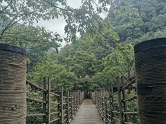 -青城山