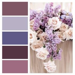 -琥珀婚礼策划AMBER WEDDING