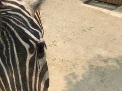 -国色天乡三期陆地乐园