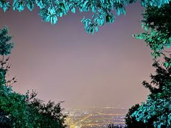 -惠山国家森林公园
