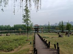 -滨湖塘西河公园