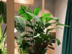 -相遇·鲜炒黄牛肉(丹阳吾悦广场店)