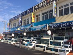 -宝健路步行街(Pedestrian Shopping Street)