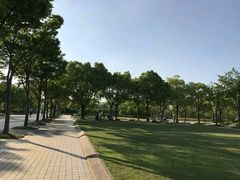 -新江湾城公园