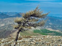 -灵山