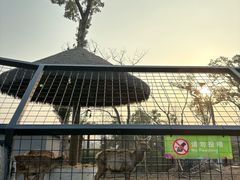 -武汉动物园