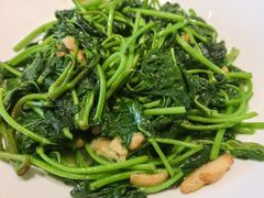 -金河半岛园林酒家(金融城店)