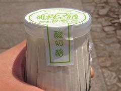 -狐狸家·酸奶酪专门店(平江路店)