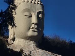 -蒙山大佛景区