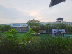 -大树头·花园餐厅(市桥店)