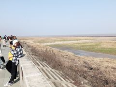 -南汇嘴观海公园