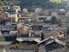 -杨家堂村