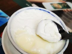 低脂酸奶-双井轩(双井店)