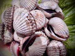 -亭下湖饭店(康岭店)