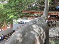 -求水山公园