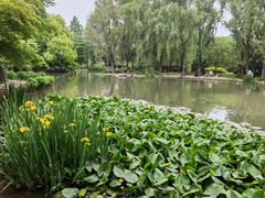 -洛阳市隋唐城遗址植物园