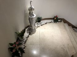 -新生植发·植养护一体