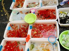 -清平路水族市场