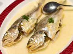 咸菜蒸小黄鱼-圆苑(静安寺店)