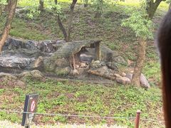 -杭州野生动物世界