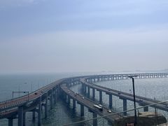 -星海湾跨海大桥
