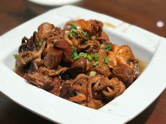 活八爪鱼炖肉-赶海部落海鲜城(海阳路店)