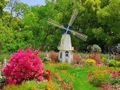 -上海共青森林公园