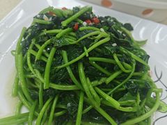 -津津食品店