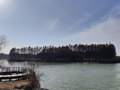 -苏州太湖国家湿地公园