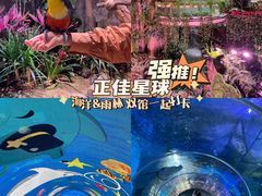 -正佳极地海洋世界