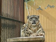 -青藏高原野生动物园