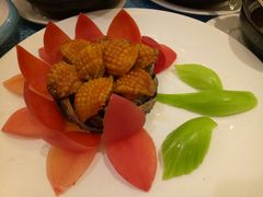 -御唐府海珊瑚主题餐厅
