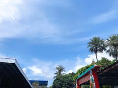 -东芭乐园