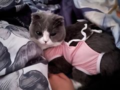-达爱动物医院·犬猫分区·CT·复杂眼科(远洋山水分院)
