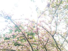 -国家会议中心大酒店