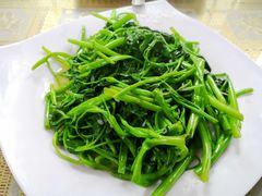 蒜蓉空心菜-芽庄老成都川菜馆