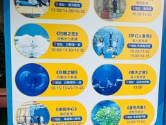 -秦皇岛乐岛海洋王国