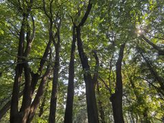 -国家植物园南园