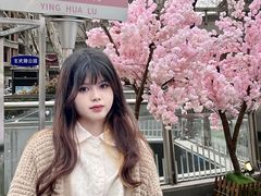 -金茂览秀城