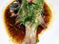 -凤城礼记鱼翅海鲜酒家(新马路总店)