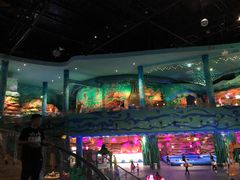 -青岛嘉年华主题乐园