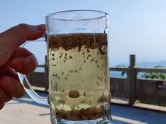 -长沙黑麋峰国家森林公园