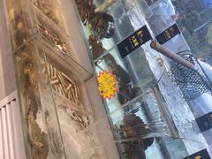 -山海经·海边人家 海鲜新青岛菜(扬州路店)