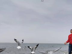 -西台吉乃尔湖