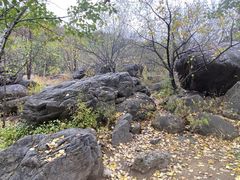 -云岫谷游猎自然风景区