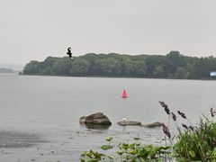 -金鸡湖景区