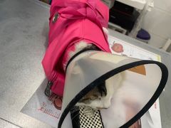 -荔康动物医院(康王北路店)