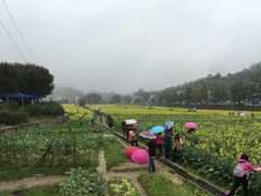 -红山村