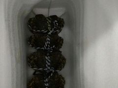 -喜洋洋蟹庄(阳澄湖店)
