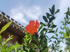 -三里河公园